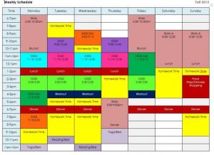 hour day planner weekly schedule w