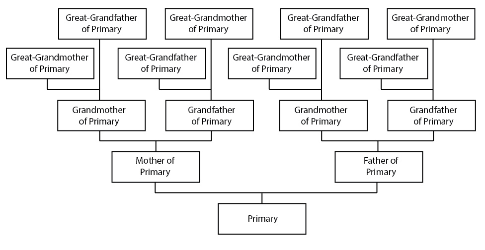 4 generation pedigree chart