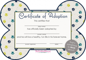 adoption reference letter pet adoption certificate