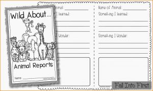 animal report template animal report template untitled