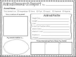 animal report template animal research report