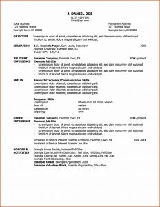 application for employment pdf job resume samples a job resume example professional resume samples of job mr sample resume