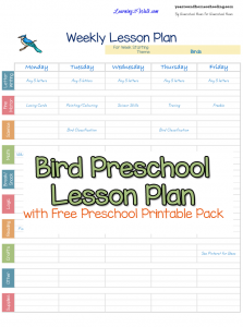 art lesson plans template bird free preschool printable worksheets and preschool lesson plan