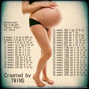 average baby weight chart