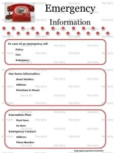 babysitter information sheets printable emergency contact list template