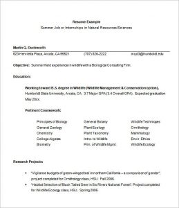 basic resume objective internship resume template free samples examplespsd internship resume template