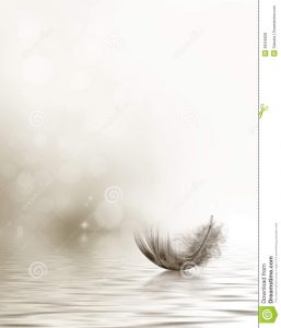 bereavement thank you condolence sympathy design feather drifting water