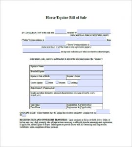 bill of sale horse bill of sale for horse purchase