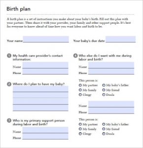 birth plan pdf birth plan form e