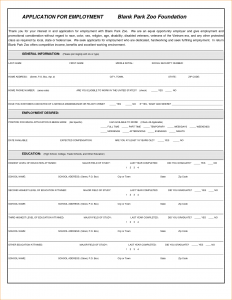 blank pay stub blank job application form