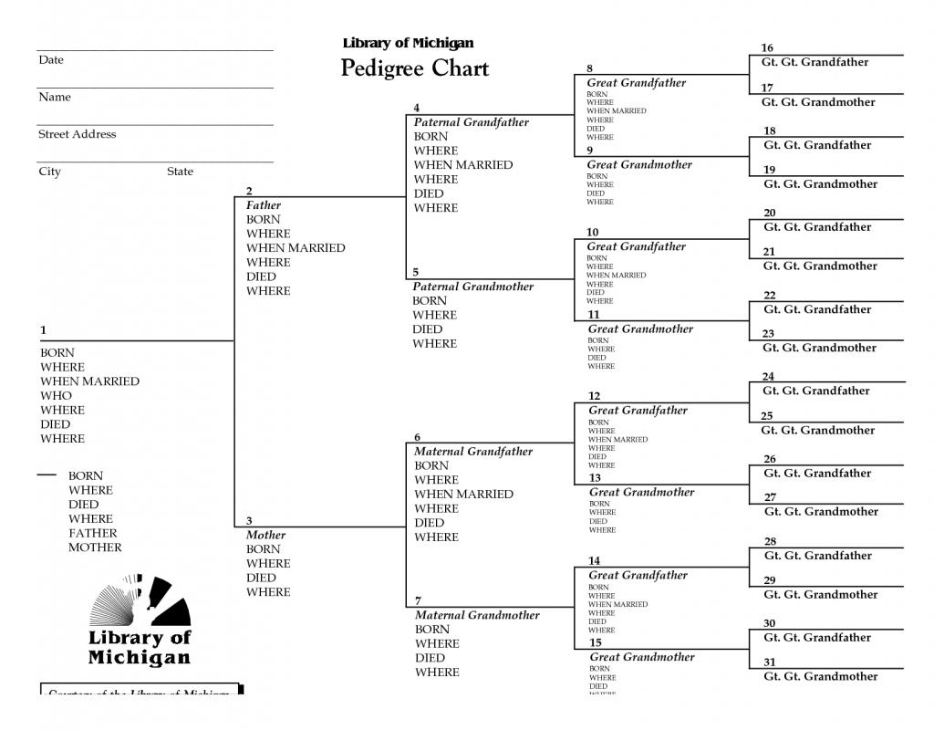 blank pedigree chart
