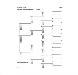blank pedigree chart blank pedigree chart free pdf template