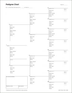blank pedigree chart chart pedigree