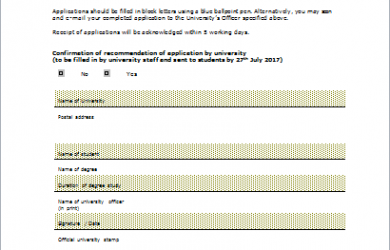 budget proposal template stipend application form