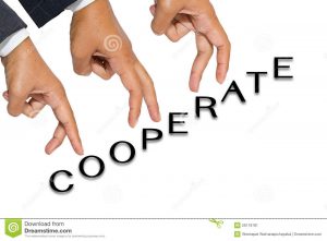 business partnership contract cooperate