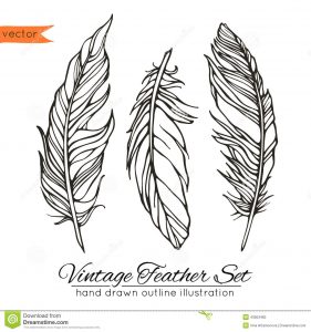business plan outline template vintage feather set isolated white vector illustration template your decoration design