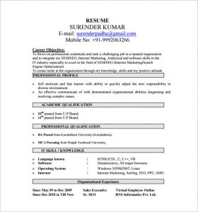 business resume template seo fresher resume free pdf download