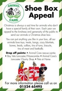 business thank you shoe box appeal