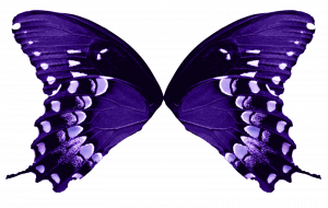 butterfly wing template butterfly wings light purple by fairyfindings de