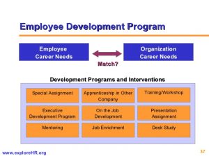 career development plan example competency based hr management