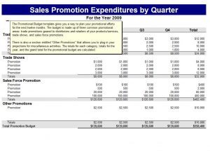 cash budget example promotional budget template