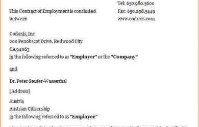 check stubs template employee contract sample employment contract agreement