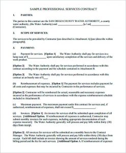 cleaning contract template professional computer service contract template pdf download