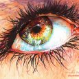 colored pencil drawings 16 eye hyper realistic color pencil drawing by christina papagianni