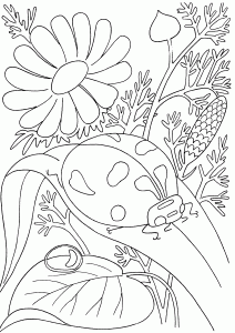 coloring pages pdf insects coloring pages pdf