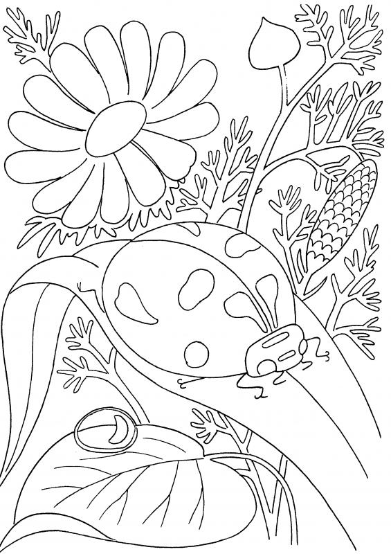 coloring pages pdf