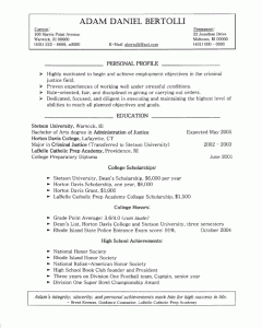 combination resume template g