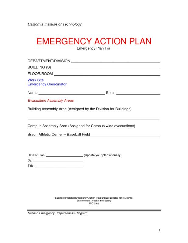 corrective action plan template