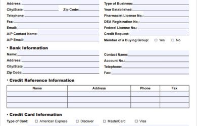 credit application form credit application form pdf