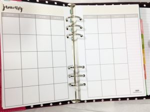 cute daily planner carpie diem planner month on pages