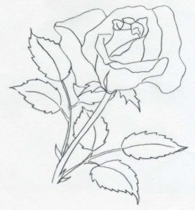drawing of rose rose drawings
