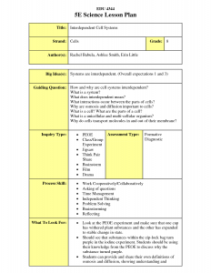 editable weekly lesson plan template the e lesson plan is an extremely useful way of planning the pertaining to e lesson plan template