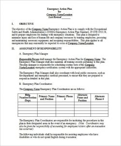 emergency action plan template medical emergency action plan example download