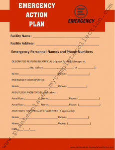 emergency plan template