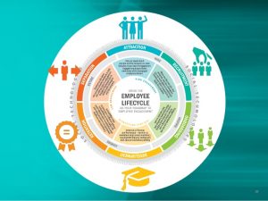 employee development plan embedding employee engagement throughout the employee lifecycle