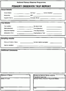 employee disciplinary form yee