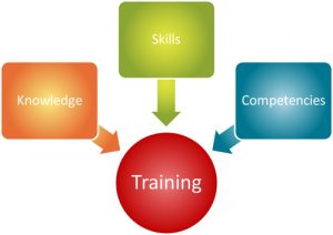 employee training plan template training