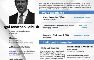 employment agreement samples career profile igal jonathan feibush