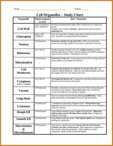 employment verification form template cell organelles worksheet ebfadfcaccb