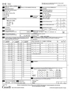 employment verification forms template employment lawyer in toronto