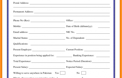 entry level resume template biodata for job application biodata form for job application employment application sample form