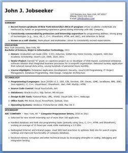 entry level software engineer resume director of it resume