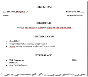 example basic resume page