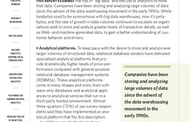 example of an executive summary big data analytics research report