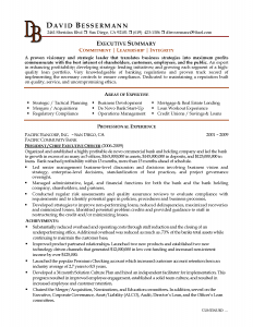 example of an executive summary executive summary resume example with great template