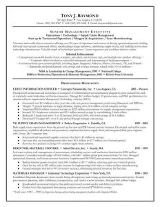 example of an executive summary resume executive summary examples for senior management executive with selected achievements and professional